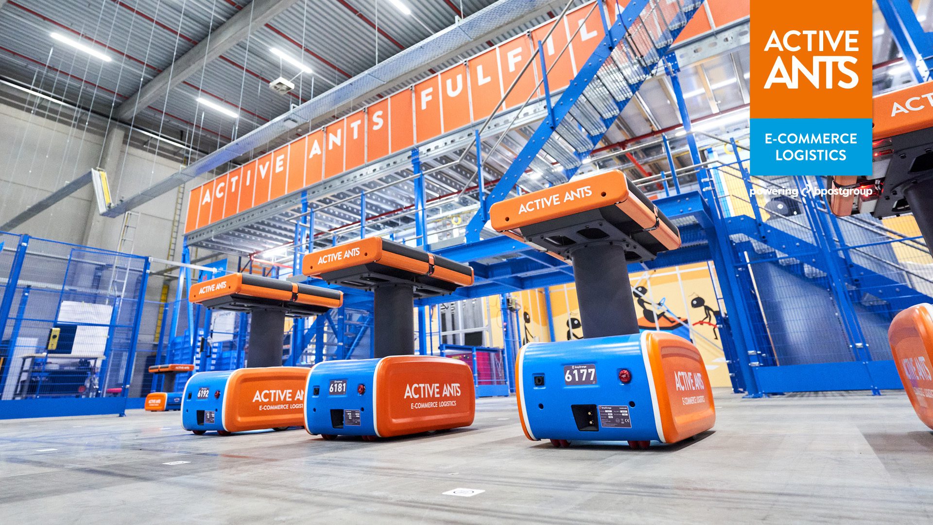 Active Ants Fulfillment: Automatisierte Logistikprozesse und Teamarbeit im E-Commerce-Fulfillment