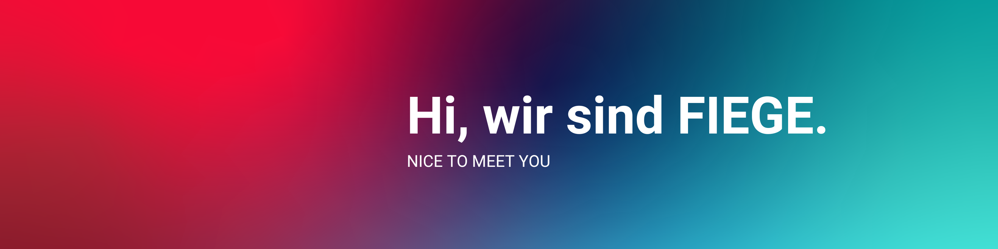 Hi wir sind FIEGE ohne Logo