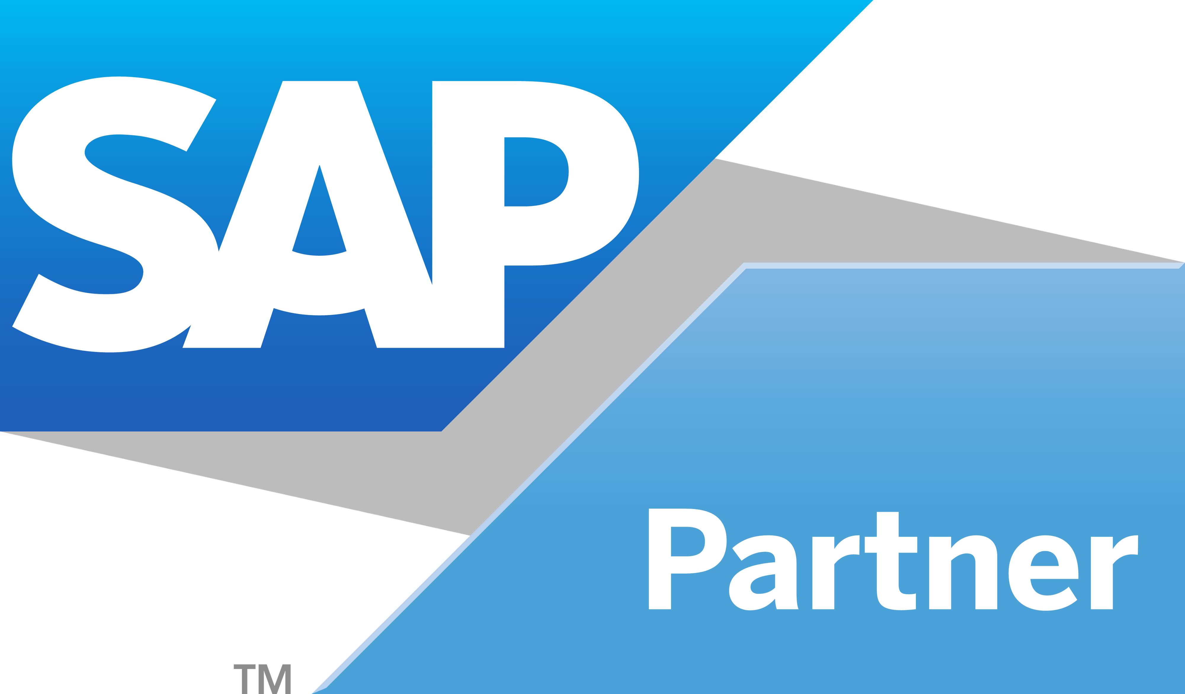 SAP partner logo